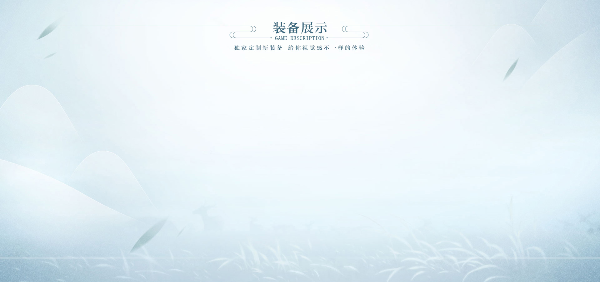 description 